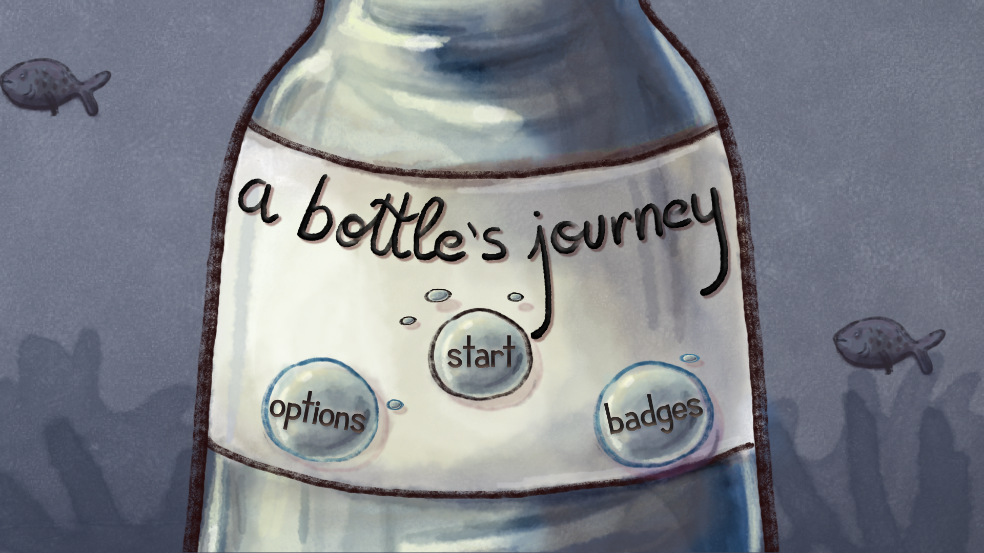 A Bottle Journey cover image