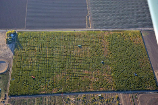 Allikas: http://www.guinnessworldrecords.com/world-records/1000/largest-maze-temporary-corn-crop-maze