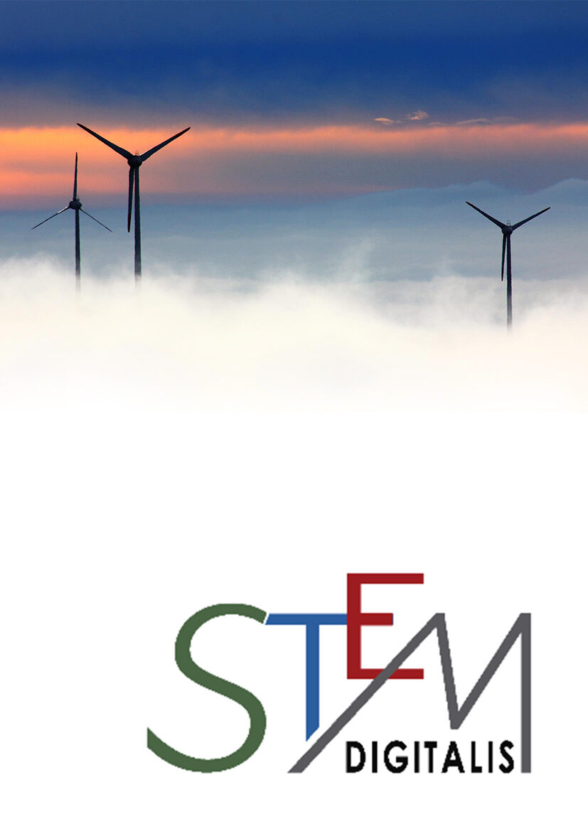 Cover image for STEM handbook